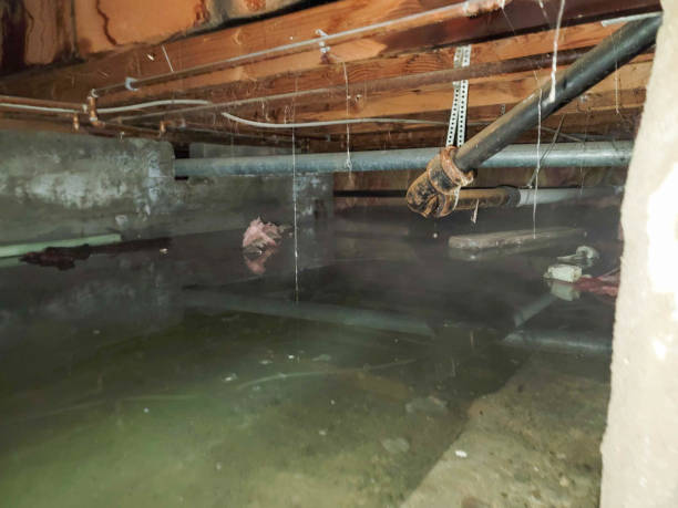 Best Carpet water damage restoration  in Everett, PA