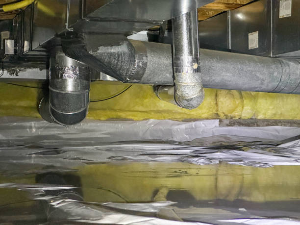 Best Basement water damage restoration  in Everett, PA